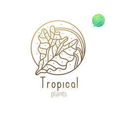 Tropical floral herb