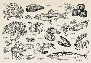 king prawns, shrimps, squid, salmon, calamari - 196973565
