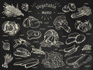 vegetable menu, garlic, mushroom, tomato, arugula, cucumber, pepper,  corn, carrot, potato, broccoli, avocado, radish, chili, pumpkin, eggplant, celery, onion, maize, cabbage, leek, pea - 196973917