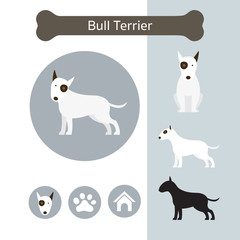 Bull Terrier Dog Breed Infographic,  Front and Side View, Icon