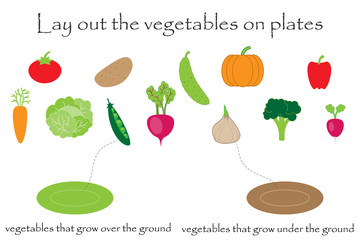 Lay out the vegetables  in cartoon style on plates under or over ground for children, preschool worksheet activity for kids, task for the development of logical thinking, vector illustration
