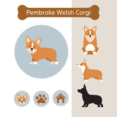 Pembroke Welsh Corgi Dog Breed Infographic,  Front and Side View, Icon