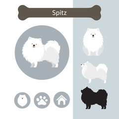 Spitz Dog Breed Infographic,  Front and Side View, Icon