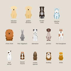 Dog Breeds Set, Large and Medium Size, Front View, Vector Illustration - obrazy, fototapety, plakaty