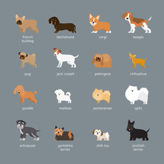 Dog Breeds Set, Small and Medium Size, Side View, Facing Front, Vector Illustration