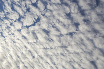 Fototapeta premium sky background with clouds. 