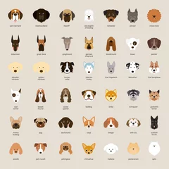 Fotobehang Dog Breeds, Head Set, Front View, Vector Illustration © muchmania
