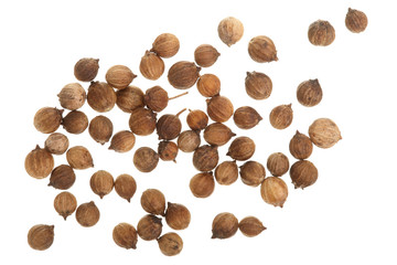 Coriander seeds isolated on white background top view