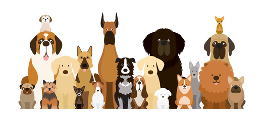 Group of Dog Breeds Illustration, Various Size, Front View, Pet - 196975330