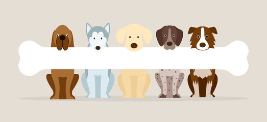 Group of Dog Breeds Holding Bone, Front View, Pet, Background, Banner  - obrazy, fototapety, plakaty