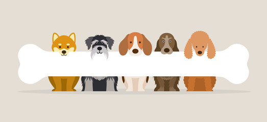 Group of Dog Breeds Holding Bone, Front View, Pet, Background, Banner  - 196975369