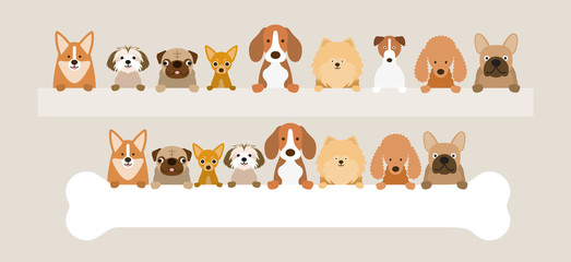 Group of Dog Breeds Holding Bone and Banner, Front View, Pet, Background