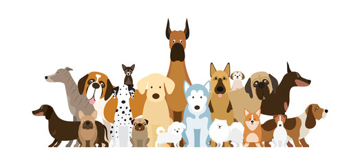 Group of Dog Breeds Illustration, Various Size, Front and Side View, Pet - 196975394
