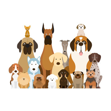 Group of Dog Breeds Illustration, Various Size, Front View, Pet