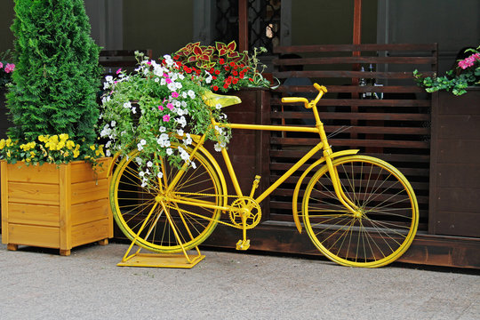 Yellow bicycle decorated with white and pink petunias near the cafe