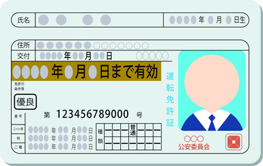Japanese Excellent Driver's License