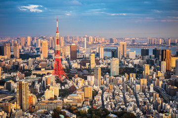 Fototapety  Tokyo aerial panoramic view