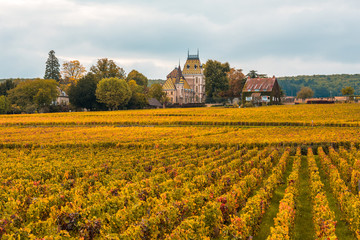 Fototapeta na wymiar Chateau with vineyards in the autumn season, Burgundy, France