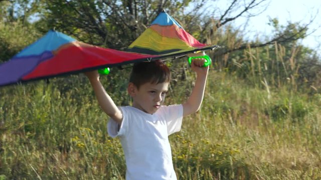 cheerful little boy is holding up a colorful kite above his head. game imagination flight of dreams.