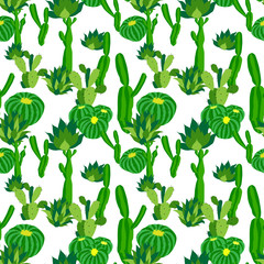 Cactus background, vector seamless pattern, isolated on white backdrop.