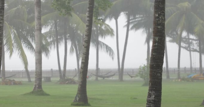 rainy grey foggy weather in the tropical area (bali), surrounded by palm trees, hammocks