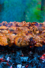 Obraz na płótnie Canvas Photo of delicious pork barbecue fried on charcoal in the park