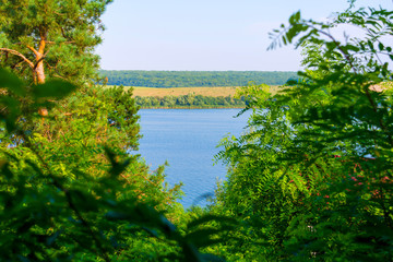 Photo of side of the blue river through green forest