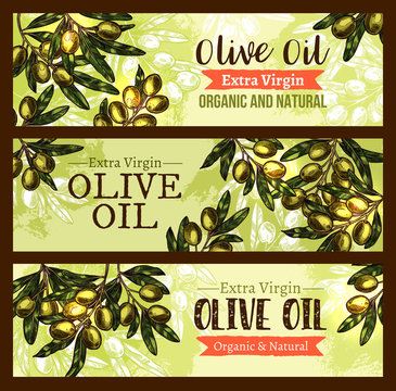 Vector olive oil product olives sketch banners