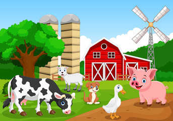 Obraz na płótnie Canvas Farm background with animals