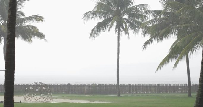 foggy grey weather in the park, surrounded by fence, few palms around. water (sea or ocean) as background