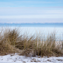 Strandgras an der Osrtseeküste, Niendorf/Ostsee,  Timmendorfer Strand, Lübecker Bucht, Schleswig-Holstein, Deutschland, Europa
