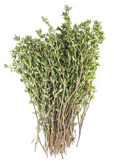 Bunch of fresh thyme against a white background