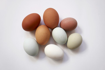 natural variety of eggs top view