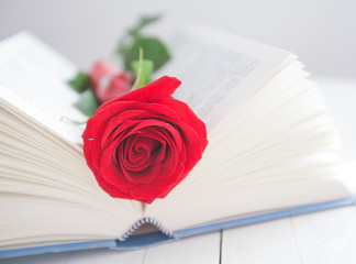 Rose and Book romance love