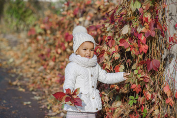 Child in autumn orange leaves.