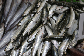 Peces en la pescadería