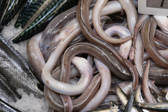 Peces en la pescader&iacute;a