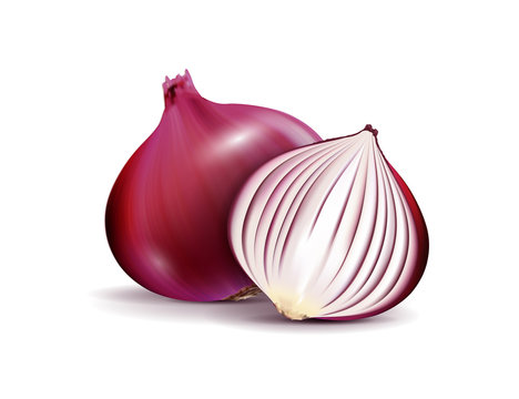 Vector Fresh Whole and Sliced Red Onion Bulbs Close up Isolated on White Background