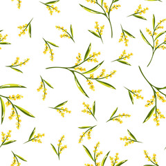 Fototapeta premium Seamless Pattern with Mimosa Flower