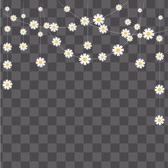 Vector Illustration.Easy to edit to your design. Garland made of camomile on transparent background. Decorative elements for design