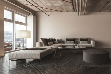Modern loft living room interior with concrete wall