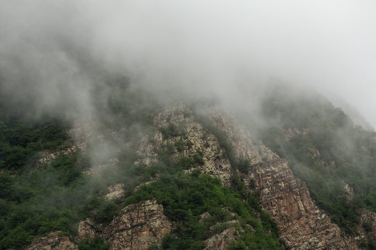 Hyrcania Forest, Mazandaran, Iran