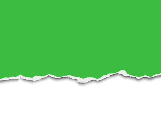Fototapeta premium Torn a half sheet of green paper from the bottom on white background. Vector template paper design.