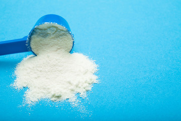 Spilled milk powder from a blue measuring spoon. Copy space.
