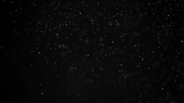 Natural organic dust particles on black background. Glittering Particles With Bokeh. Slow motion.