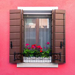 Colorful residential window with blooming flowers in venetian island of Burano, Italy