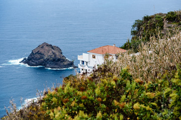 Tenerife north coast