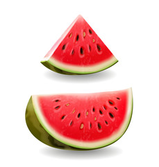 Watermelon realistic icon illustration, vector