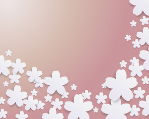 cherry blossoms background
