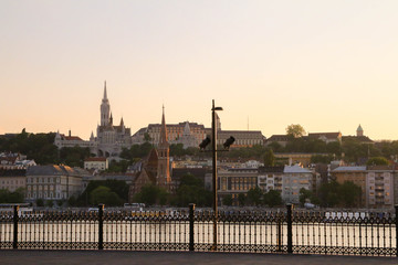 Fototapeta premium view on the buda castle hill from a parliament square in Budapest, Danube river inbetween